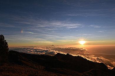 科幻RPG《Exodus》两段动画电影 展示底层矿工Arkavir和觉醒之熊